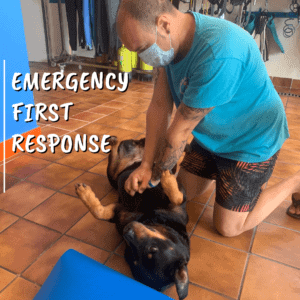 Emergency First Response