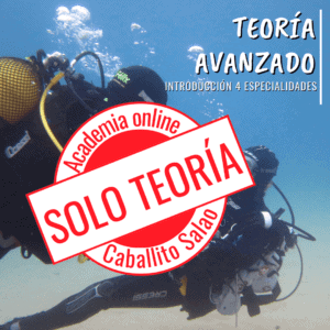 Teoría Advanced Caballito Salao