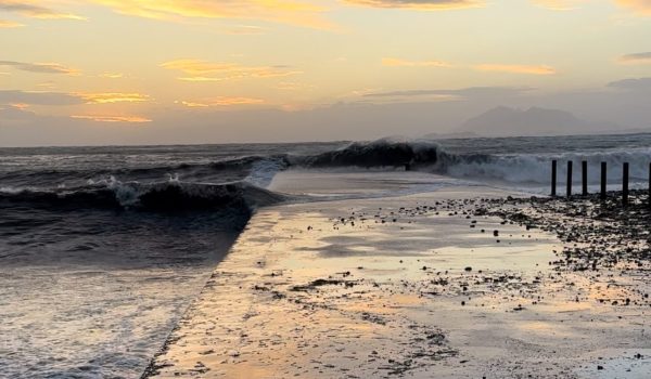 Lebeche en la Reserva Marina de Cabo Tiñoso