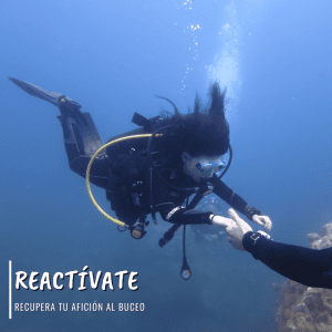 Reactívate y recupera tu afición al buceo
