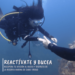 Reactívate y bucea en la Reserva Marina de Cabo Tiñoso